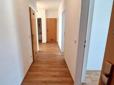 Wohnung mieten in 4213 Unterweitersdorf (Bild 5)