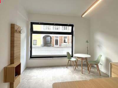 Gewerbeobjekt mieten in 8020 Graz (Bild 2)