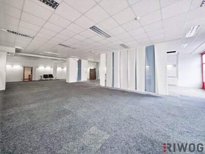 Einzelhandel mieten in 2351 Wr. Neudorf (Bild 5)