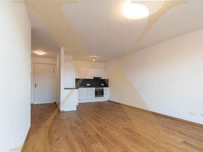 Terrassenwohnung mieten in 4020 Linz (Bild 1)