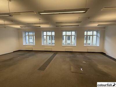 Gewerbeobjekt mieten in 1010 Wien (Bild 4)