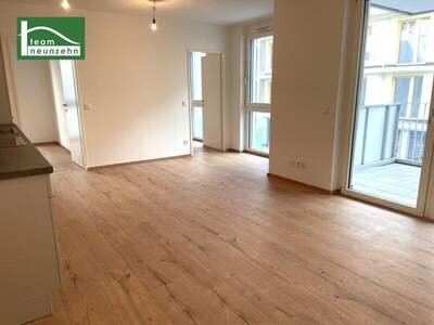 Terrassenwohnung mieten in 1220 Wien (Bild 2)