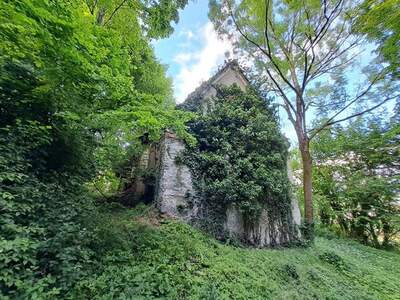 Gewerbeobjekt kaufen in 8582 Rosental (Bild 2)