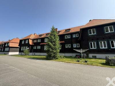 Wohnung kaufen in 8784 Trieben (Bild 1)