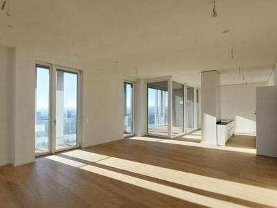 Terrassenwohnung mieten in 1220 Wien (Bild 3)