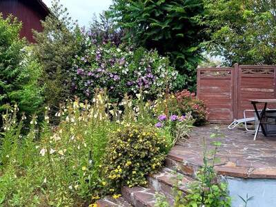 Einfamilienhaus kaufen in 1220 Wien (Bild 4)