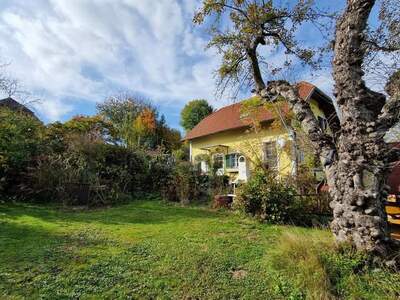 Haus kaufen in 7423 Pinkafeld