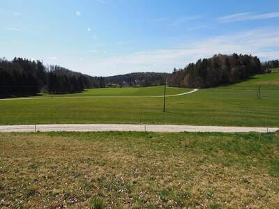 Grundstück kaufen in 8113 Plankenwarth