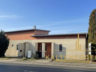 Haus mit Garten kaufen in 7033 Pöttsching