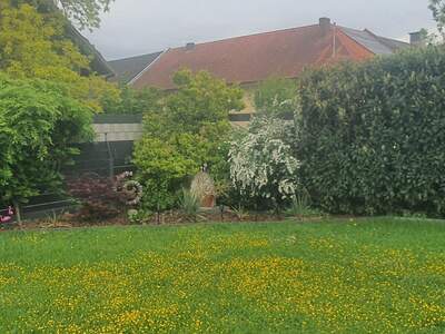 Einfamilienhaus kaufen in 4064 Oftering (Bild 1)