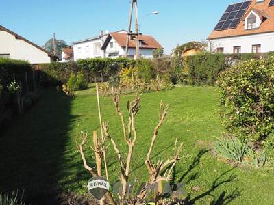 Einfamilienhaus kaufen in 3424 Zeiselmauer (Bild 1)