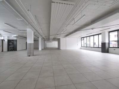 Gewerbeobjekt mieten in 1130 Wien (Bild 1)