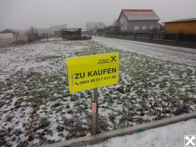 Grundstück kaufen in 7083 Purbach (Bild 1)