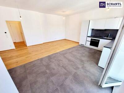 Wohnung kaufen in 1050 Wien (Bild 3)