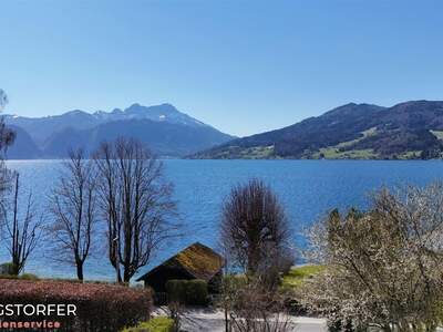 Haus kaufen in 4853 Steinbach (Bild 4)