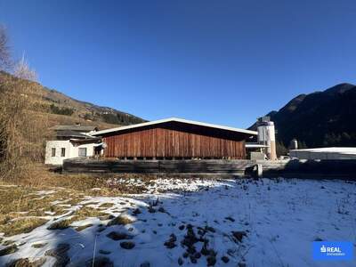 Gewerbeobjekt kaufen in 9912 Anras (Bild 3)