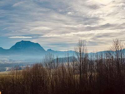 Altbauwohnung mit Balkon kaufen in 4694 Ohlsdorf (Bild 3)