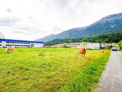 Gewerbeobjekt kaufen in 6404 Polling (Bild 2)