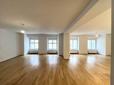 Wohnung mieten in 1010 Wien (Bild 1)