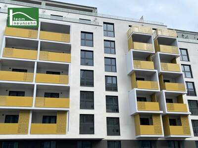 Terrassenwohnung kaufen in 1220 Wien (Bild 1)