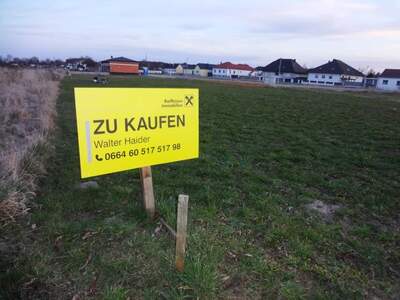 Grundstück kaufen in 7083 Purbach