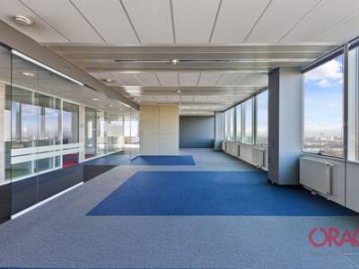 Gewerbeobjekt mieten in 1220 Wien (Bild 4)