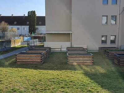 Terrassenwohnung mieten in 3500 Krems (Bild 5)