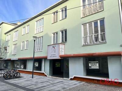 Gewerbeobjekt mieten in 2700 Wiener Neustadt (Bild 1)