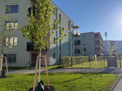 Wohnung kaufen in 2700 Wiener Neustadt
