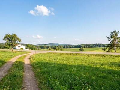 Gewerbeobjekt kaufen in 4912 Neuhofen (Bild 3)