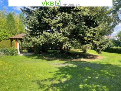 Haus mit Garten kaufen in 4470 Enns (Bild 5)