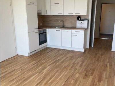 Terrassenwohnung mieten in 1220 Wien (Bild 5)