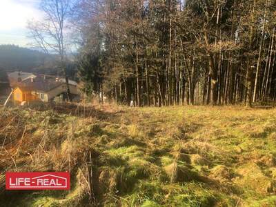 Grundstück kaufen in 4843 Ampflwang