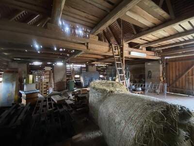 Gewerbeobjekt mieten in 8724 Spielberg (Bild 5)