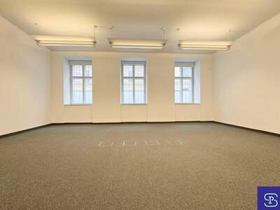 Gewerbeobjekt mieten in 1090 Wien (Bild 2)