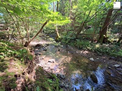 Grundstück kaufen in 5310 Mondsee