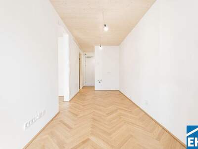 Terrassenwohnung kaufen in 1020 Wien (Bild 3)