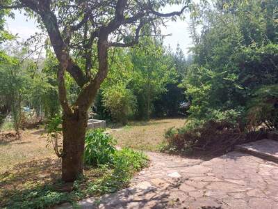 Einfamilienhaus kaufen in 4501 Neuhofen (Bild 5)