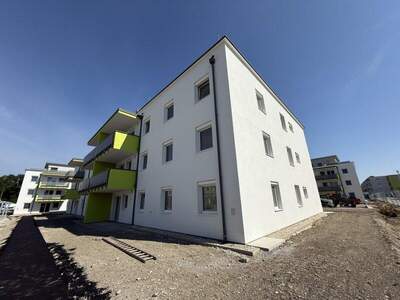 Terrassenwohnung kaufen in 2442 Unterwaltersdorf (Bild 3)