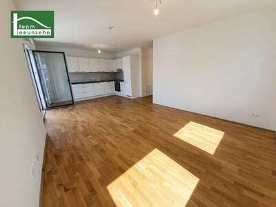 Terrassenwohnung mieten in 3100 St. Pölten (Bild 2)