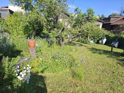 Grundstück kaufen in 1230 Wien