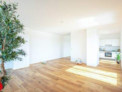 Terrassenwohnung mieten in 2320 Schwechat (Bild 2)
