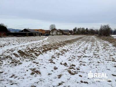 Grundstück kaufen in 4070 Pupping (Bild 5)