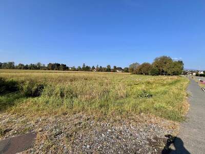 Grundstück kaufen in 7411 Markt Allhau (Bild 3)