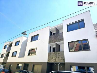 Terrassenwohnung kaufen in 1230 Wien (Bild 1)