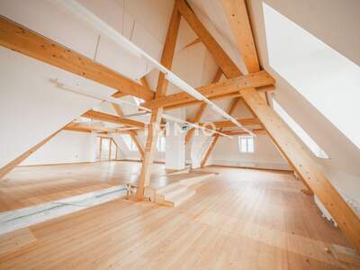 Gewerbeobjekt kaufen in 2320 Mannswörth (Bild 4)