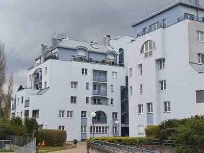 Wohnung mieten in 2700 Wiener Neustadt