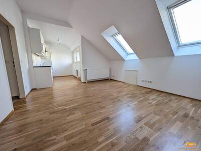 Wohnung kaufen in 1060 Wien