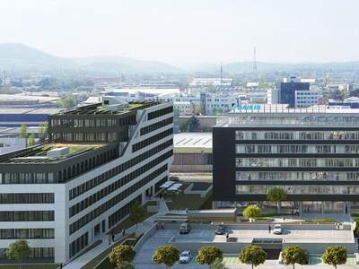 Gewerbeobjekt mieten in 1230 Wien (Bild 2)