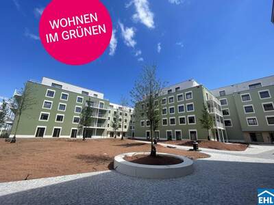 Wohnung mieten in 3451 Pixendorf